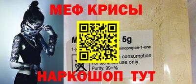 крисы Моздок