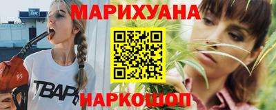 крисы Моздок