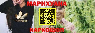 крисы Моздок
