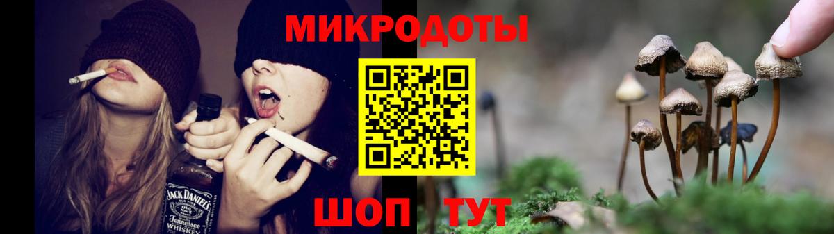 Псилоцибиновые грибы Psilocybine cubensis  Вход с VPN  Урус-Мартан  что такое   Галлюциногенные грибы MAGIC MUSHROOMS 