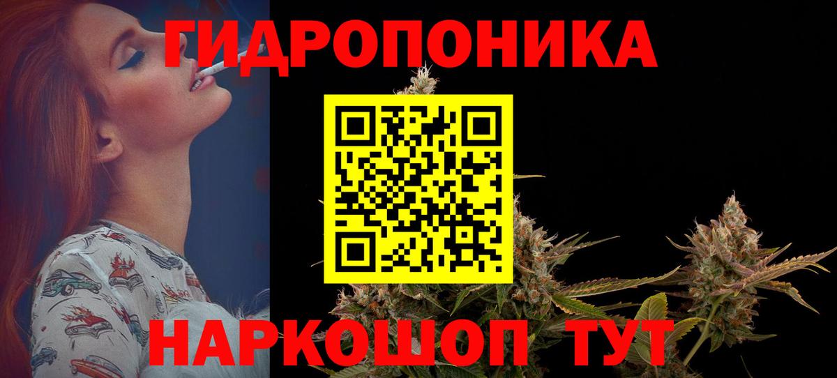 Канабис ГИДРОПОН  Бошки марихуана VHQ  Урус-Мартан  Вход с VPN  Канабис THC 21% 